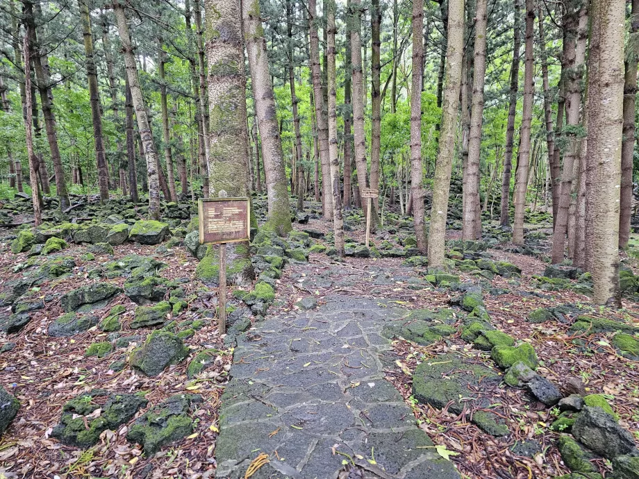 Bras d'Eau nasjonalpark, tursti