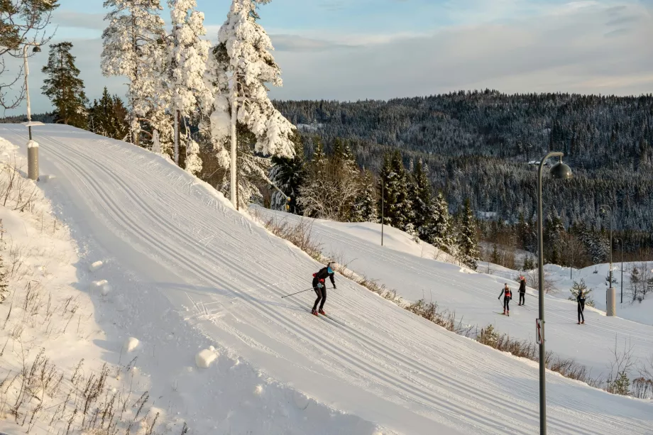 Skikjøring i Holmenkollen