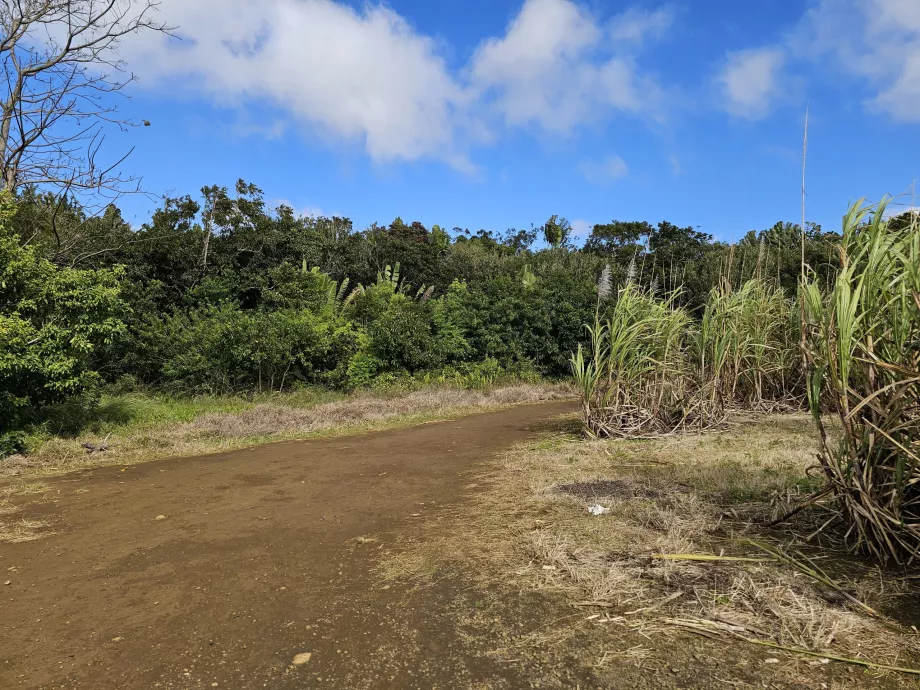 Veien til Sept Cascades