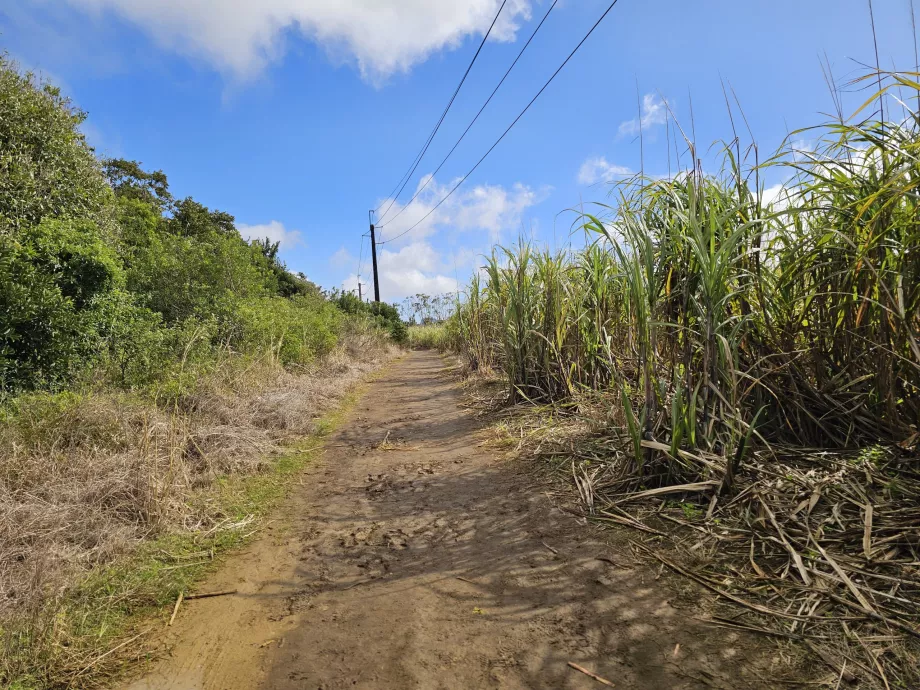 Veien til Sept Cascades