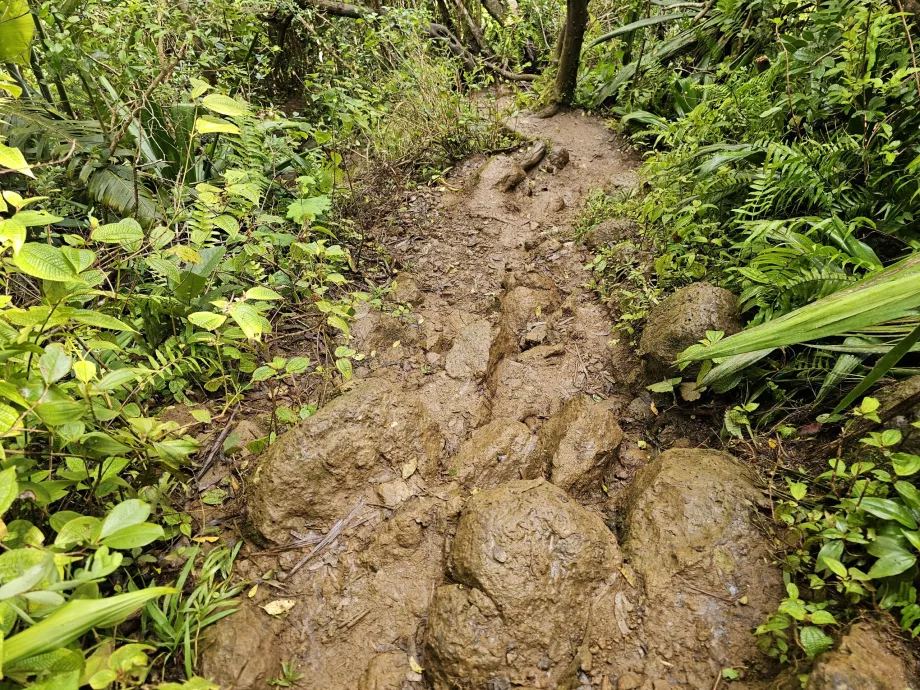 Stien til 7 Cascades