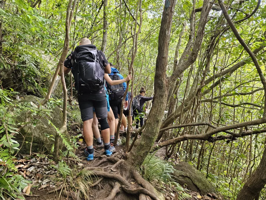 Sti langs de 7 kaskader