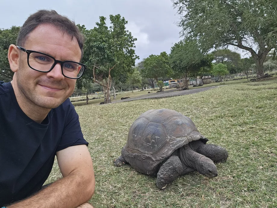 Skilpadder i Casela Zoo