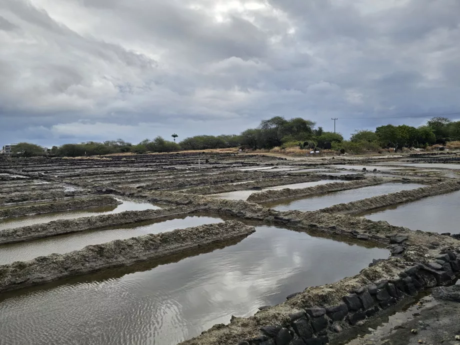 Tamarin Salt Fields