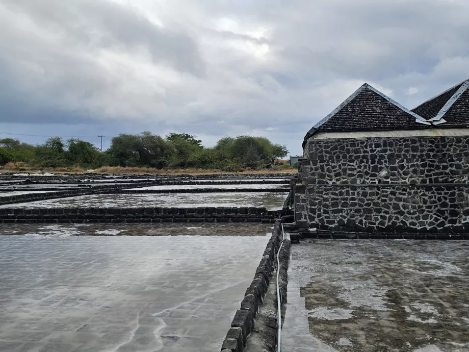 Tamarin Salt Fields