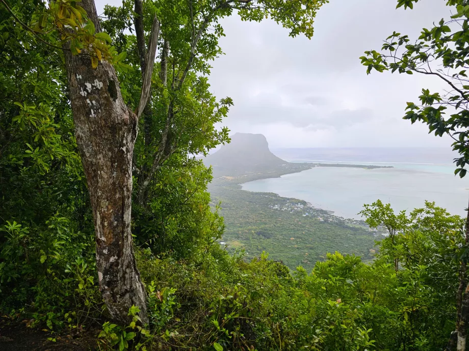 Ebony Forest, utsikt over Le Morne