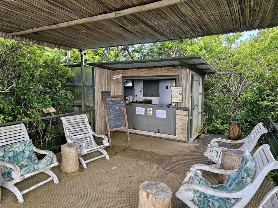 Ebony Forest, forfriskninger