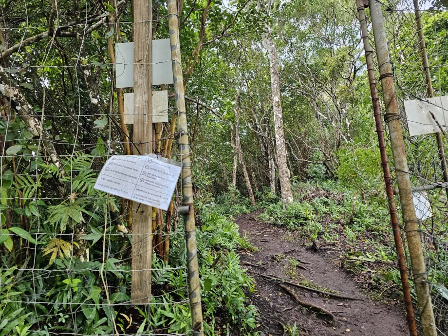 Inngangen til Piton du Canot