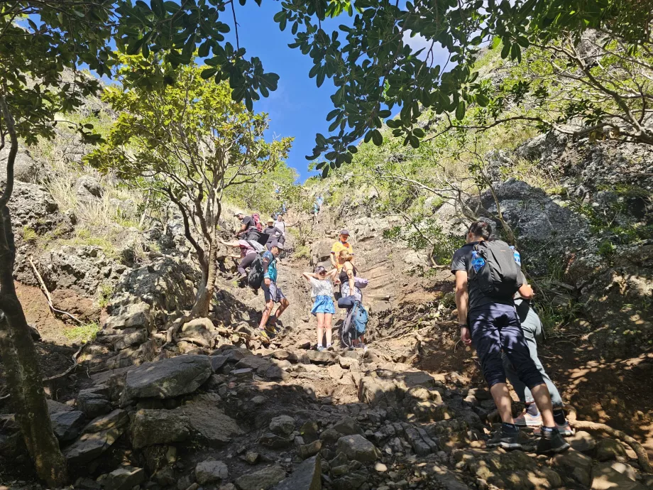 Den første utfordrende delen