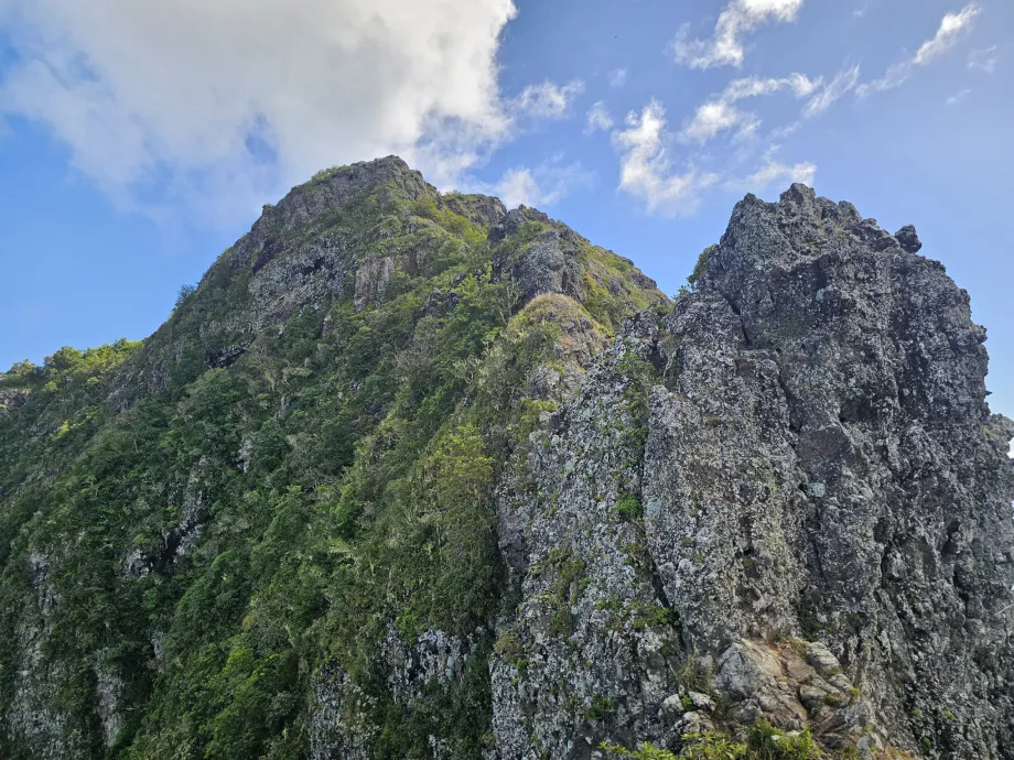 Det virkelige høydepunktet på Le Morne