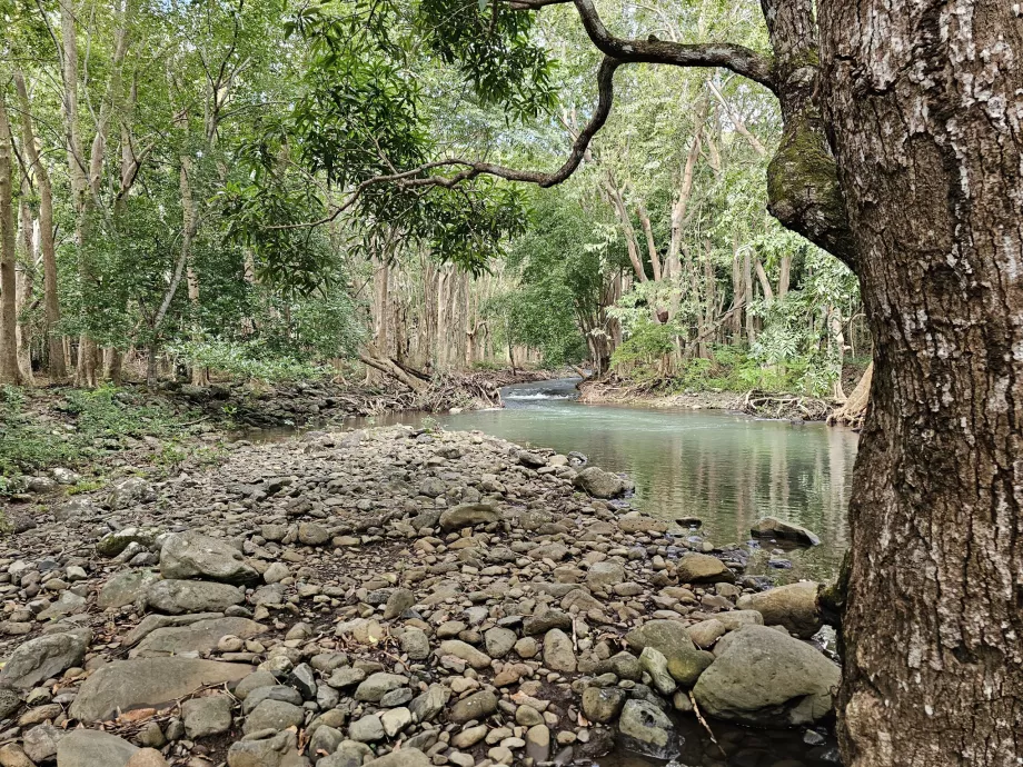 Black River Gorges NP