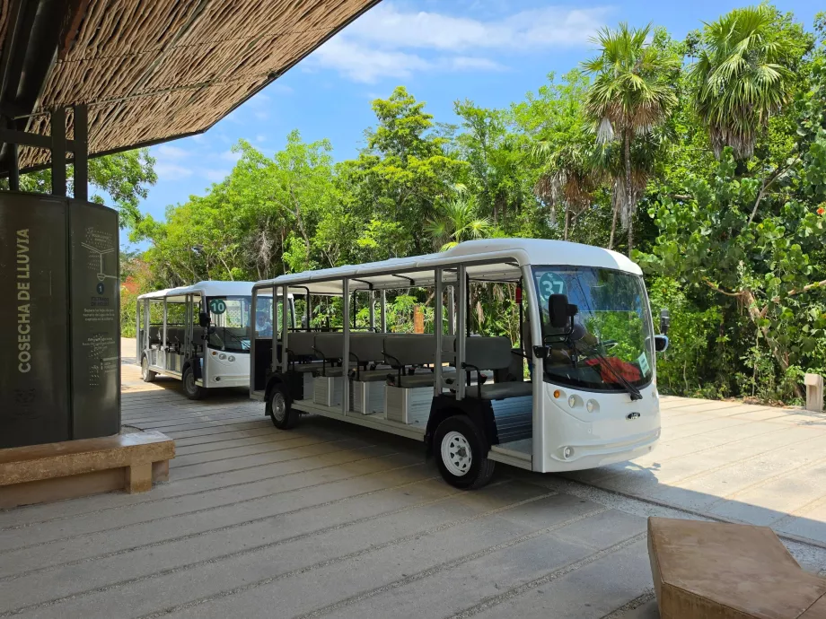 Arkeologiske funnstedet i Tulum, transport med elektrisk buss