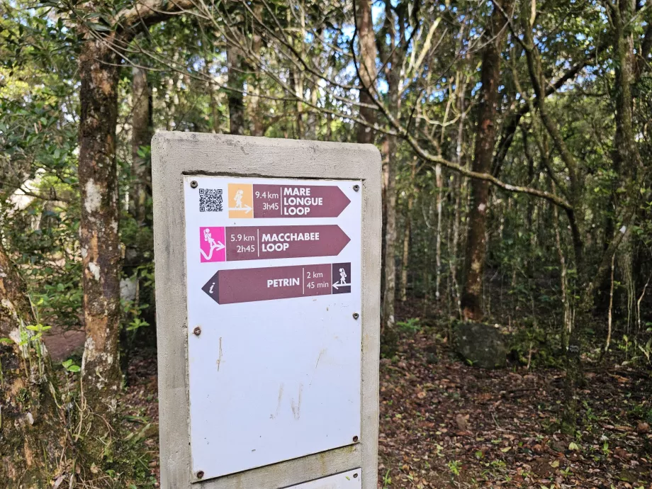 Skilting i Black River NP