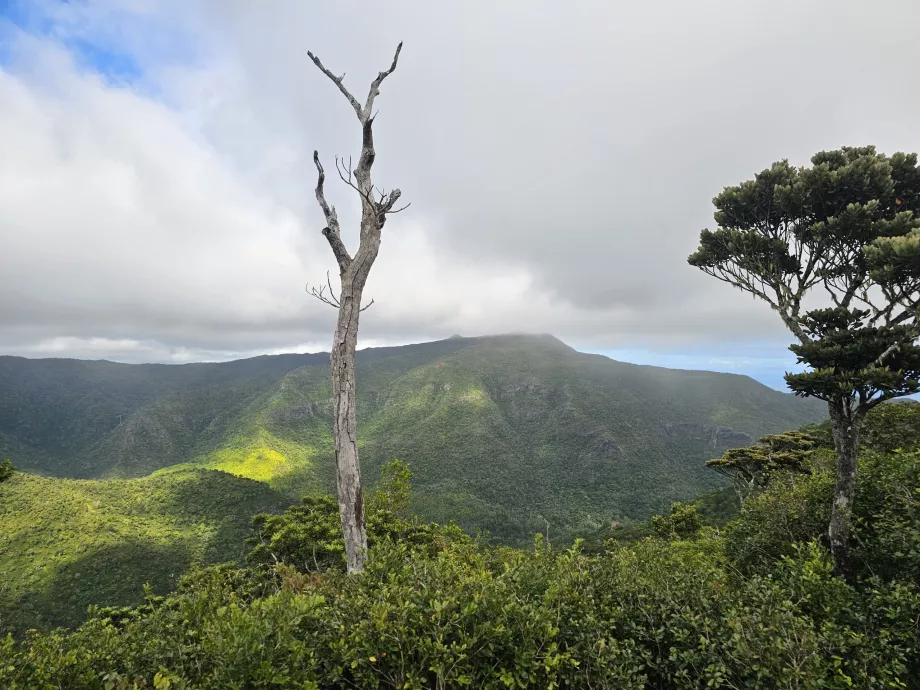 Utsikt fra Machabee Loop