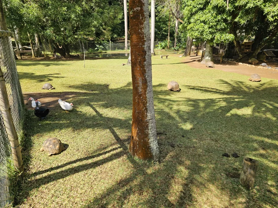 Saint Aubin, minigård