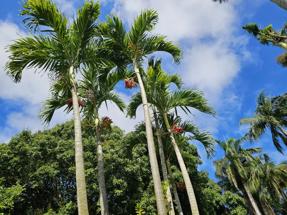Saint Aubin, botanisk hage