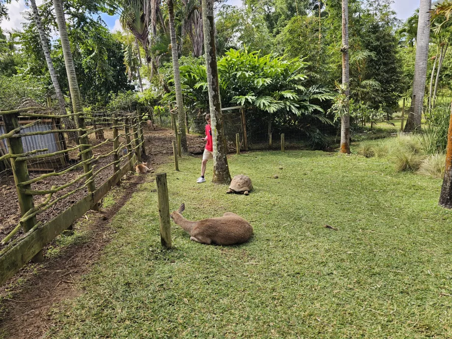 Saint Aubin, minigård