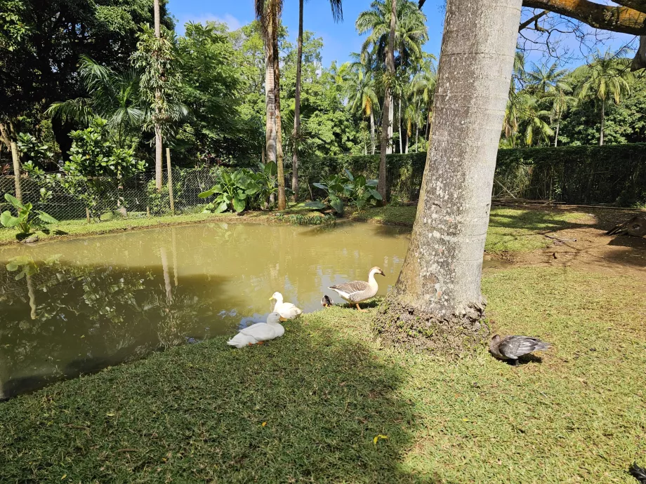 Saint Aubin, minigård