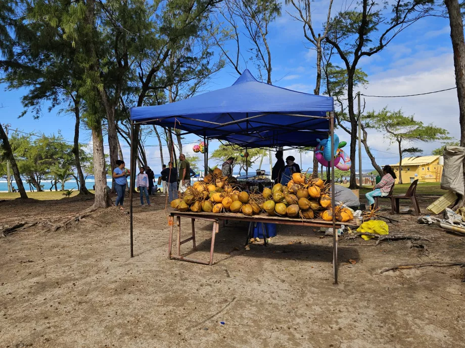 Kokosnøtter på stranden