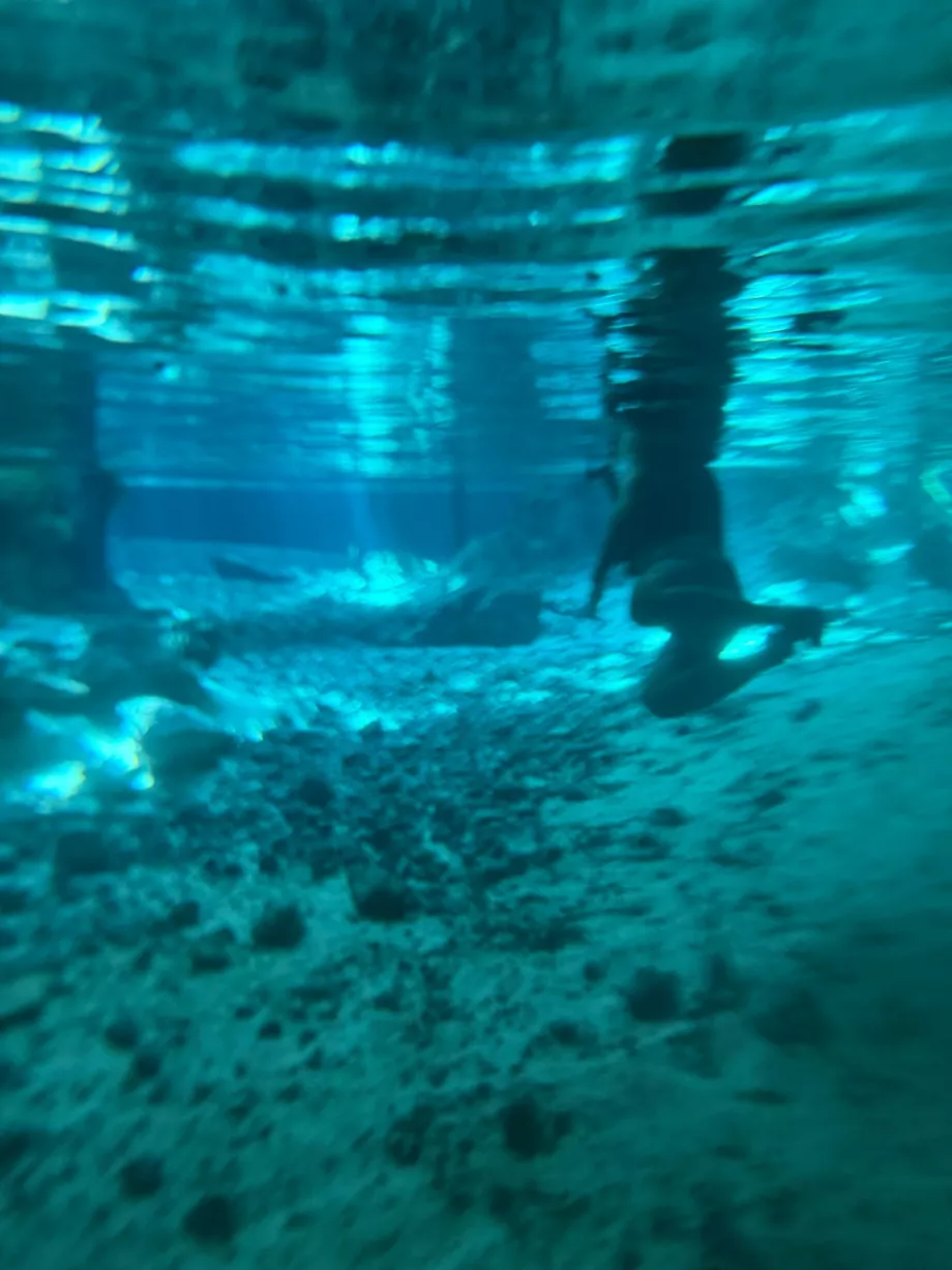 Et blikk under vannet ved Gran Cenote