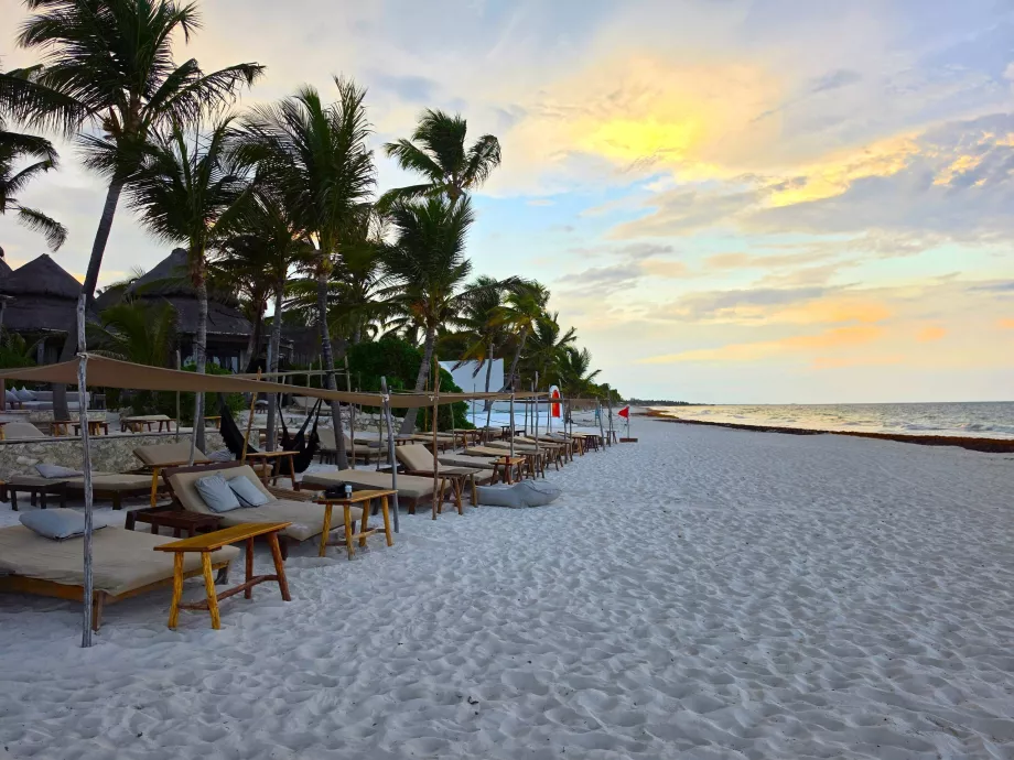 Stranden i hotellområdet i Tulum