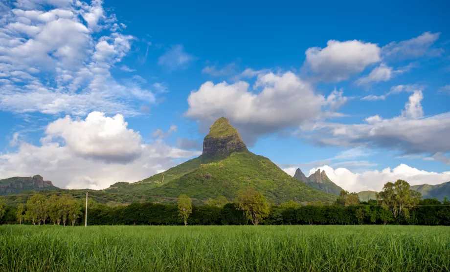 Fjellene på Mauritius