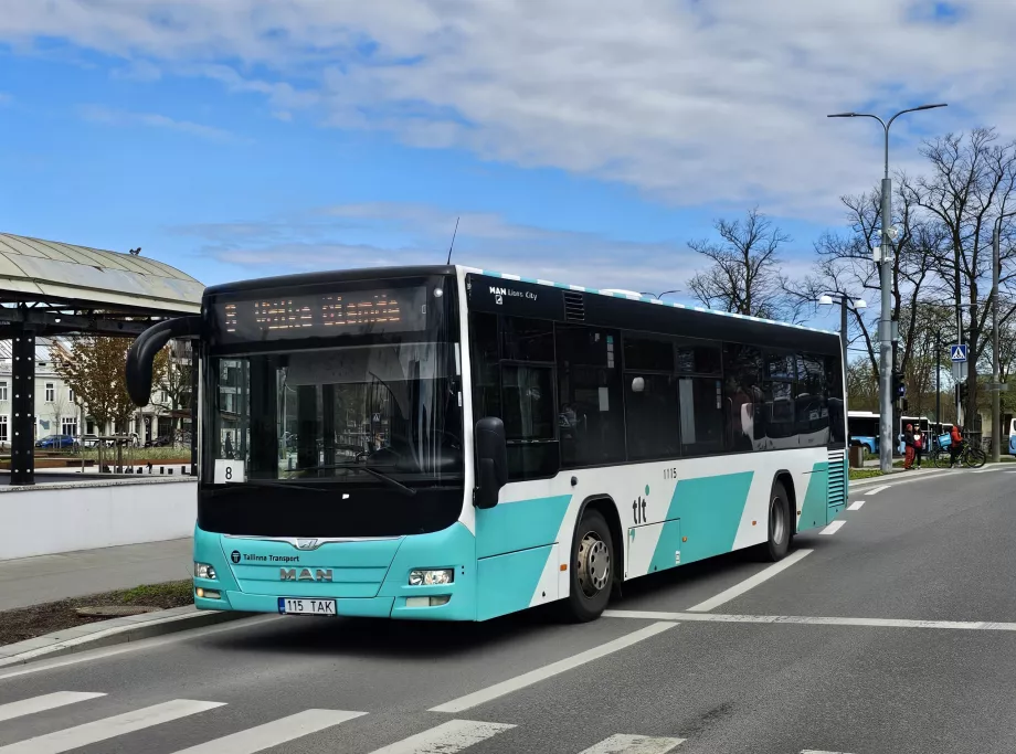 Busser Tallinn