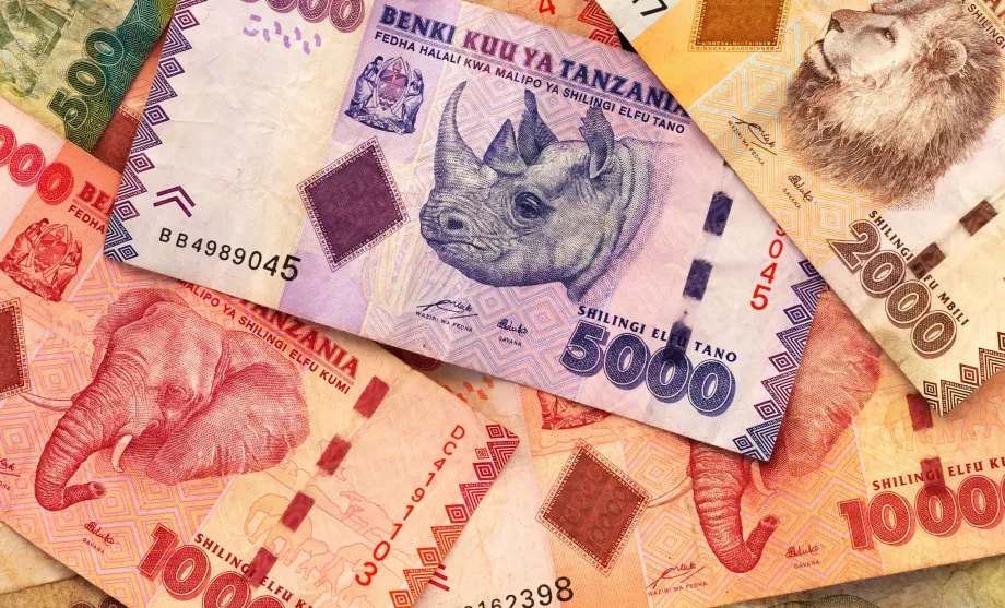 Tanzaniansk shilling