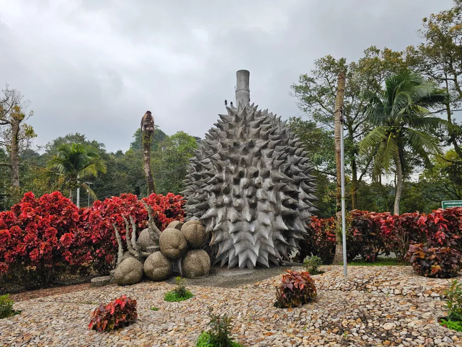 Magiske steinfrukter