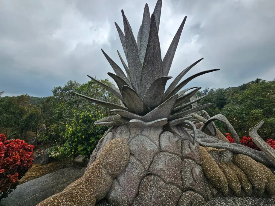 Magiske steinfrukter