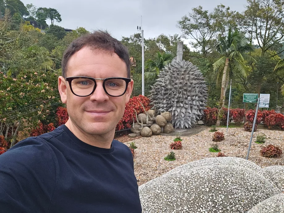 Magiske steinfrukter