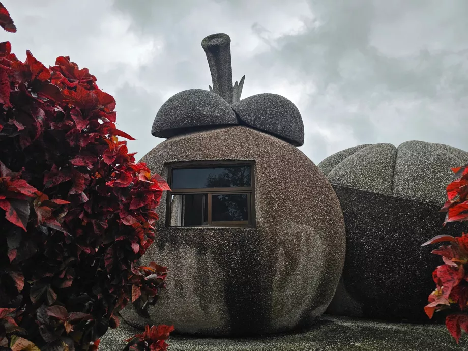 Magiske steinfrukter