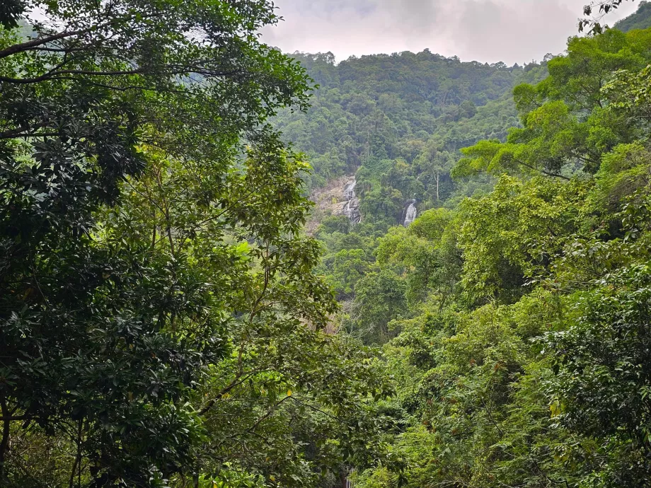 Namuang-fossene 2 og 3