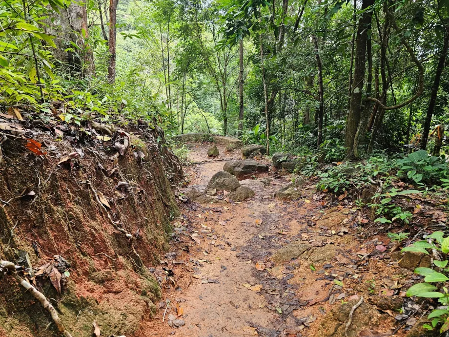 Veien til Namuang-fossen 2
