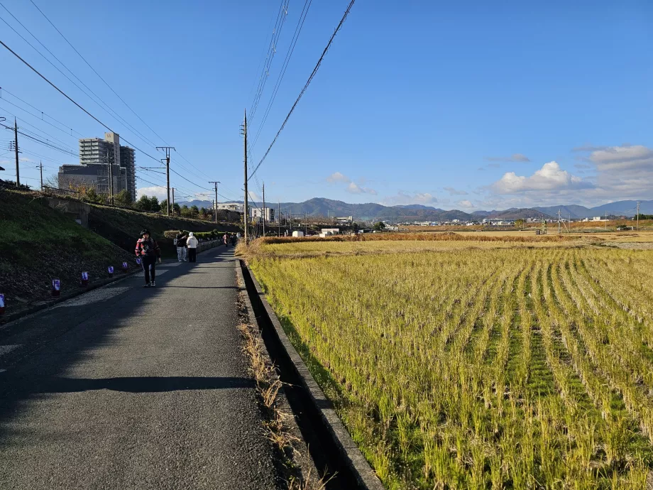 Gå fra stasjonen til båten