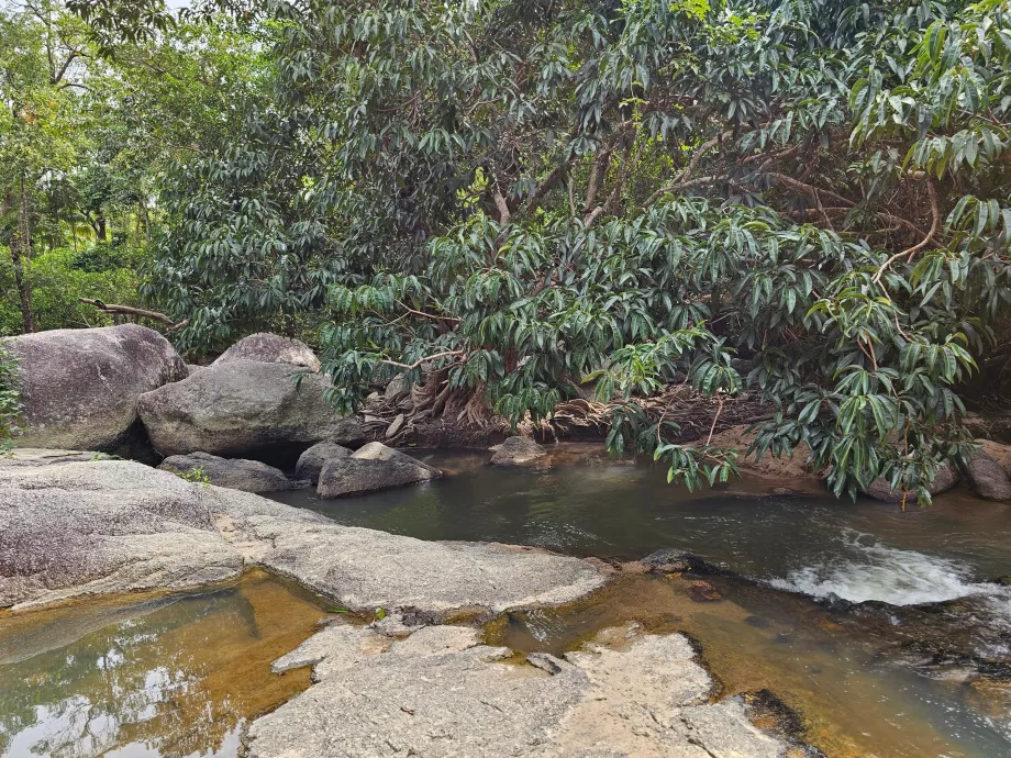 Namtok Than Sadet NP