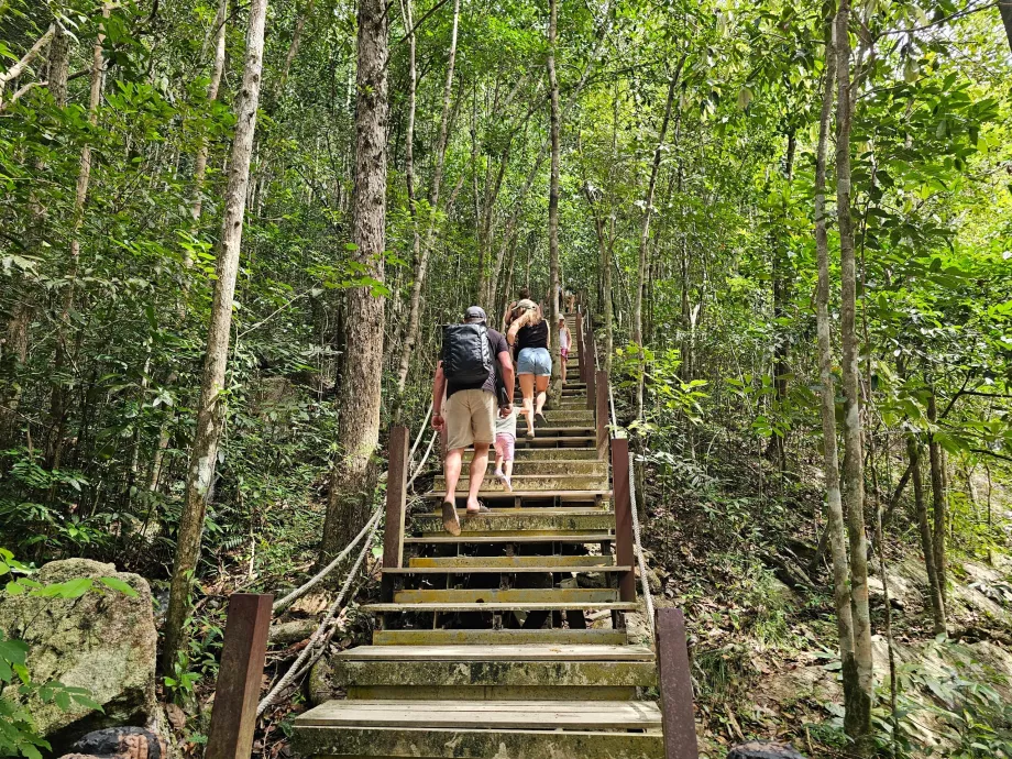 Veien til fossefallene