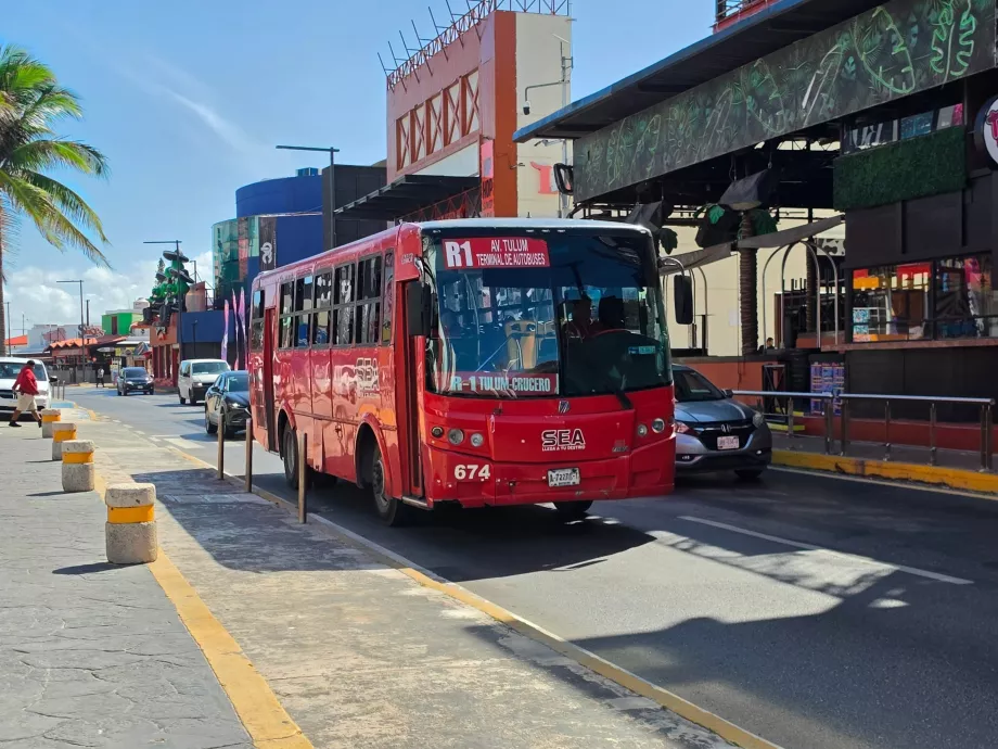 Bybuss