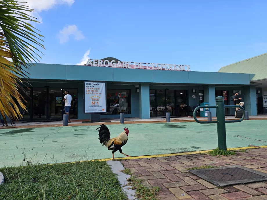 Grand Case lufthavn Terminal