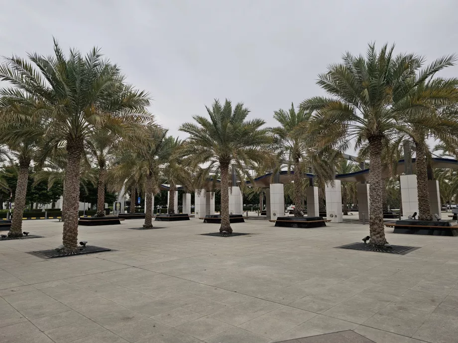 Parker foran flyplassen