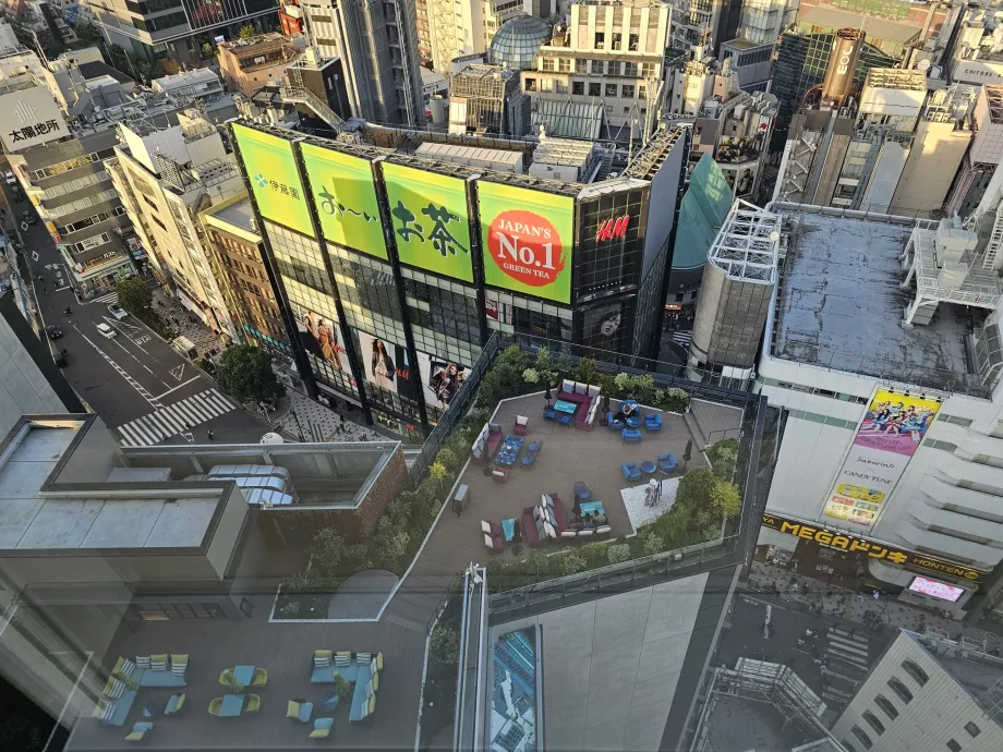 Utsikt over utendørsterrassen til restauranten Gallery 11