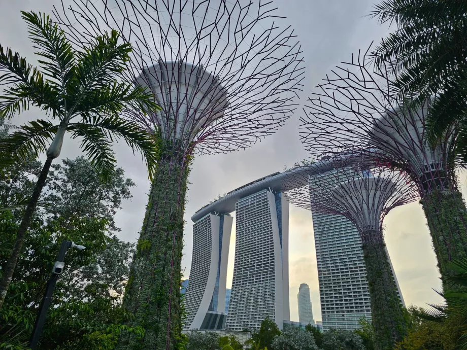Marina Bay Sands-bygningen sett fra Gardens by the Bay
