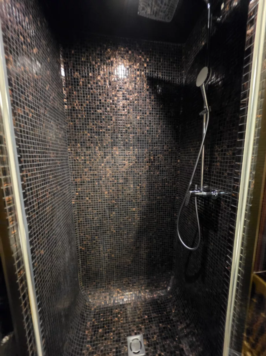 Dusjkabinett i det tilstøtende badet