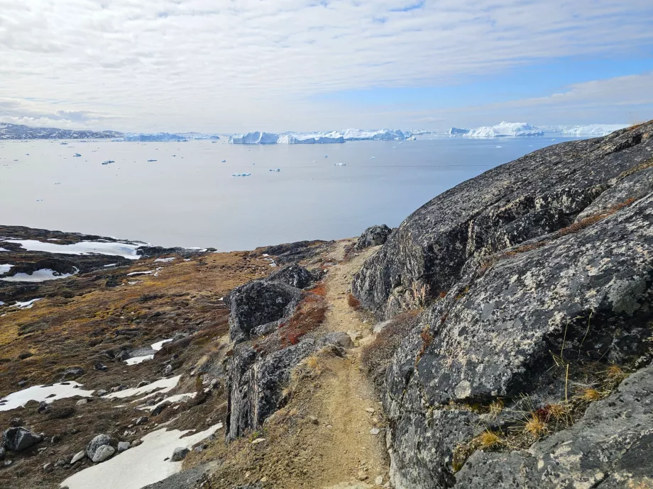 Vandring langs Isfjorden