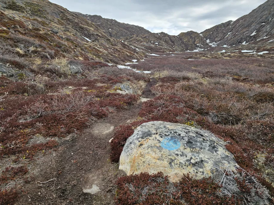 Palasip Qaqqaa-stiskilt