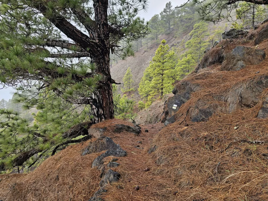 Vandrestien El Julan