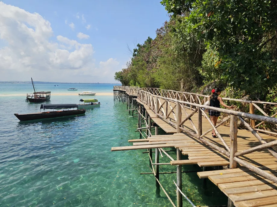 Prison Island, ankomst