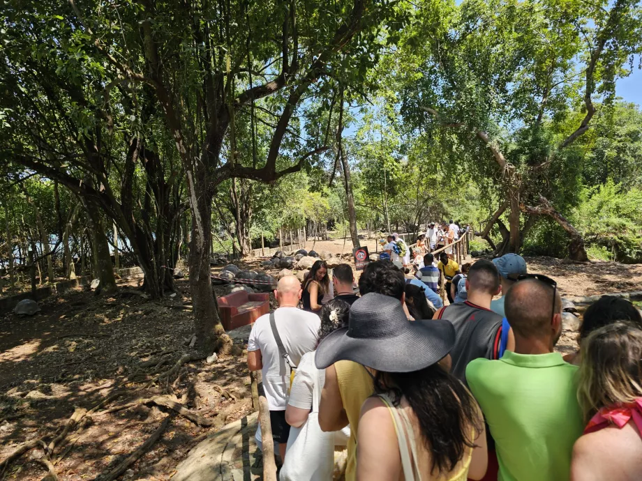 Prison Island, en sti gjennom innhegningen med kjempeskilpadder