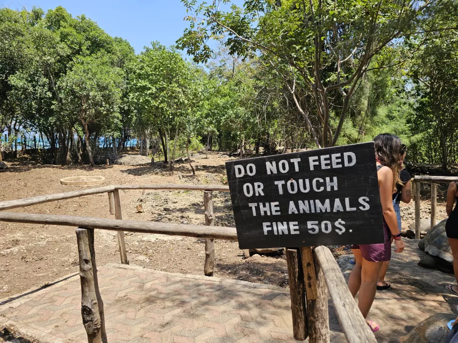 Prison Island, kjempeskilpadder