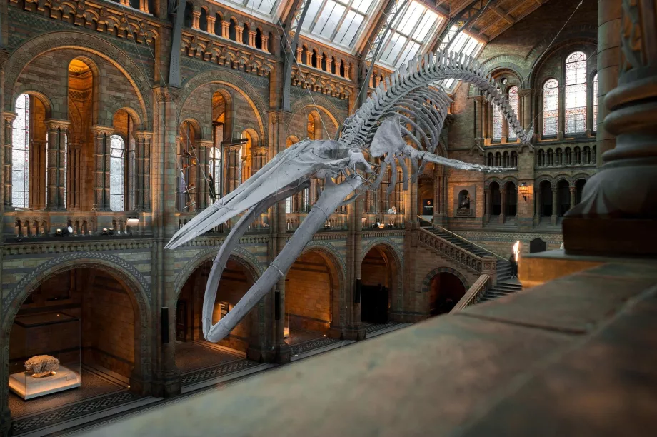 Nasjonalmuseet for natur